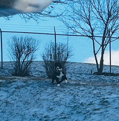 Unchained K9, LLC
