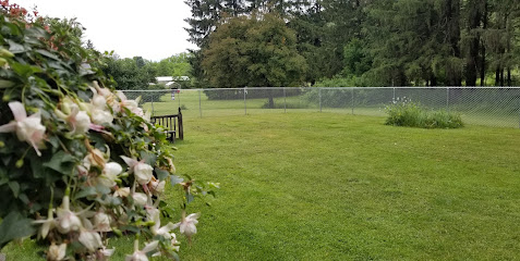 Bestway Fence