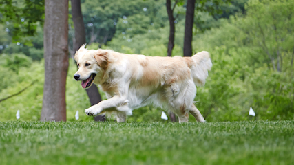 DogWatch of Susquehanna Valley